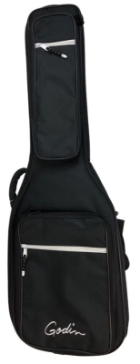 Godin Radiator - Bourbon Burst 2